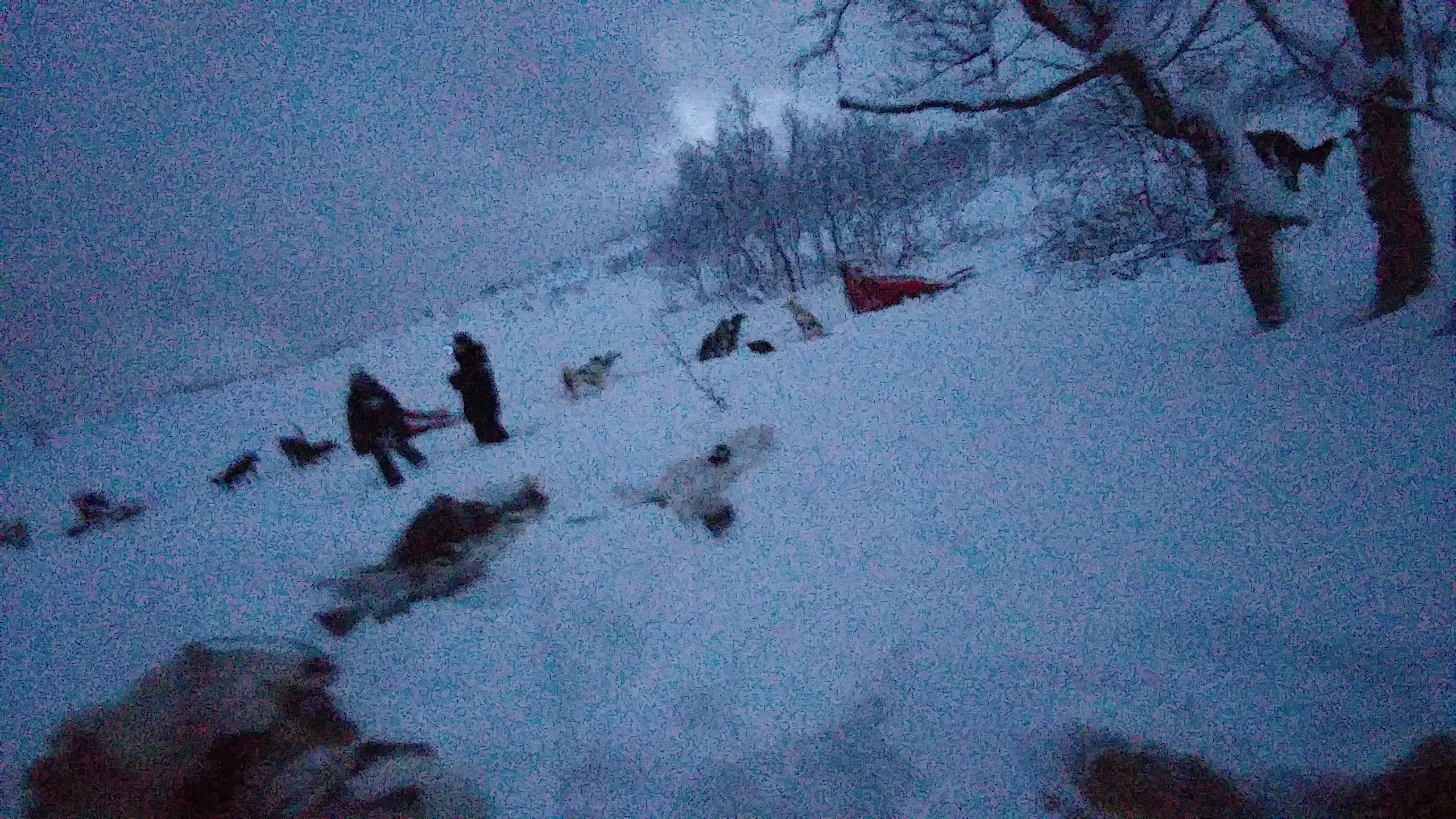 2edc02f6-c8f3-4dee-ba88-10e72d1a4d67