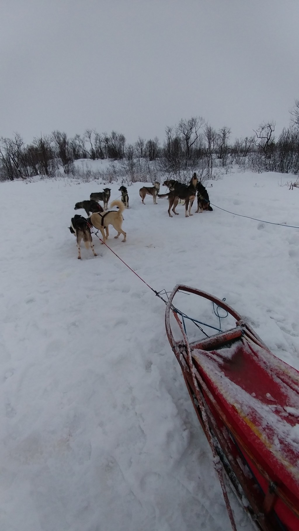 Norway! Or, how I learned to stop worrying and love the Trom(sø): Part&nbsp;1