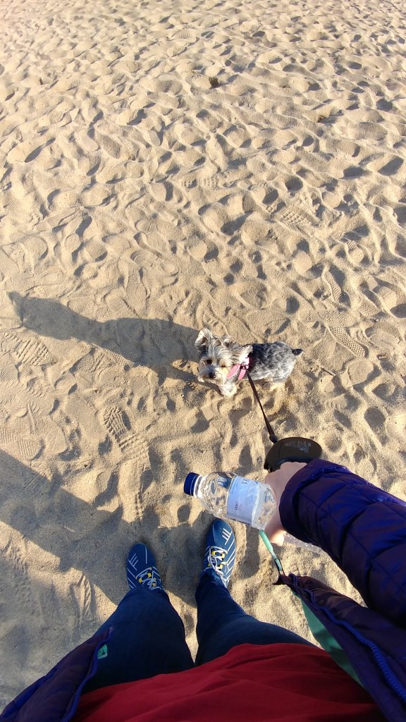 ab233374-cff3-4d45-a856-b365b8bb05f3