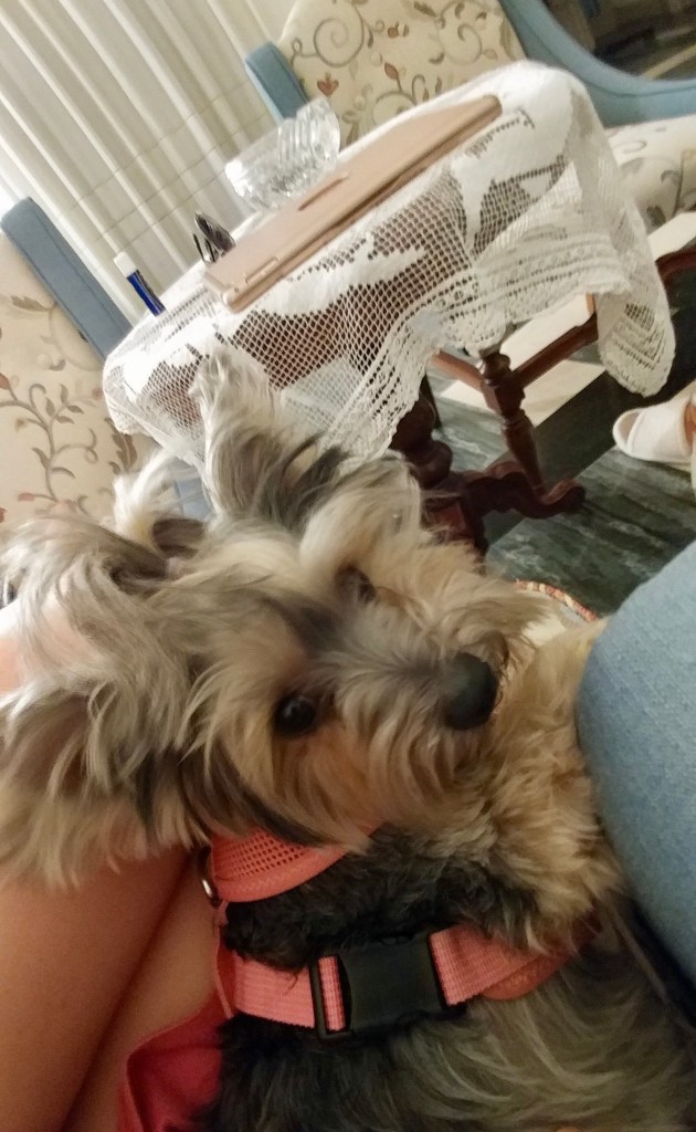 EC02DB0C-7668-4F17-96D9-5ACE99129A21