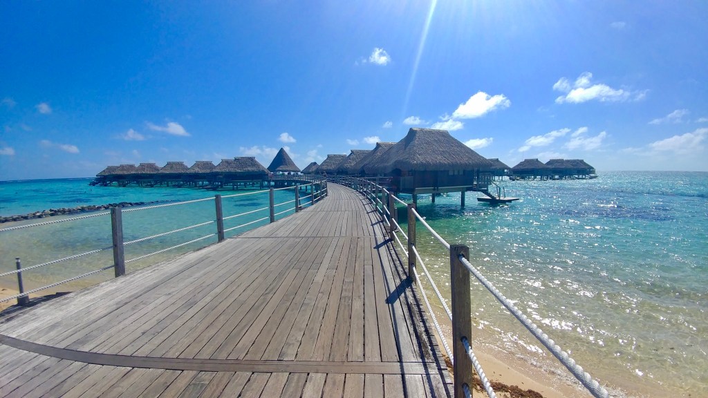 2733C103-1D30-4390-8EFA-02796D46B2DA