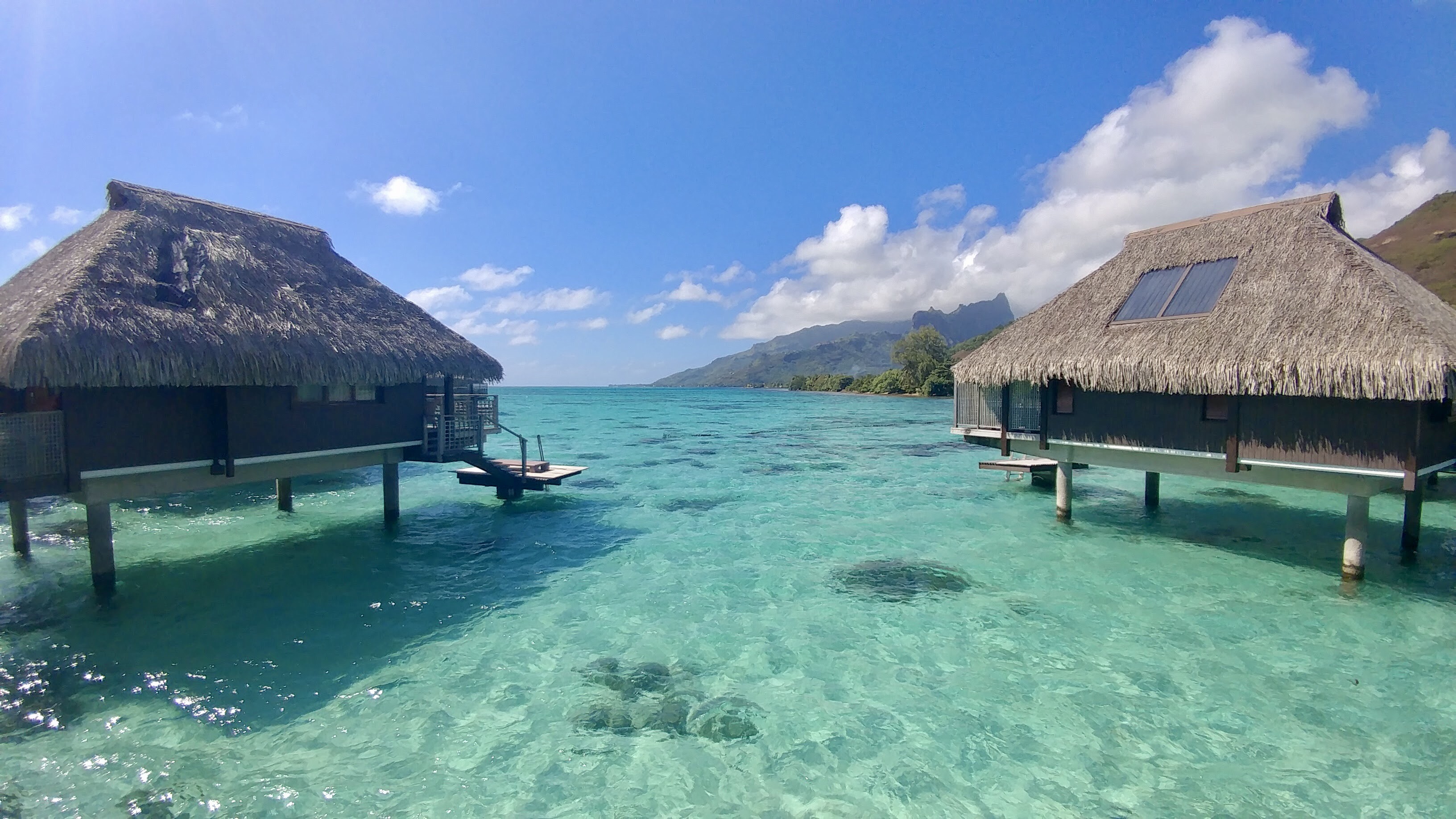 37E33BC3-1E6A-49BF-AFC2-0C330C262567