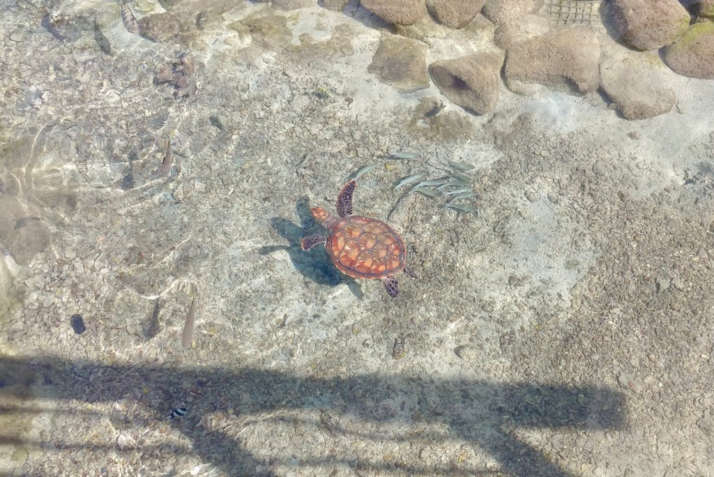 44D33646-5D85-4FE9-862C-72CA0CDE1B79