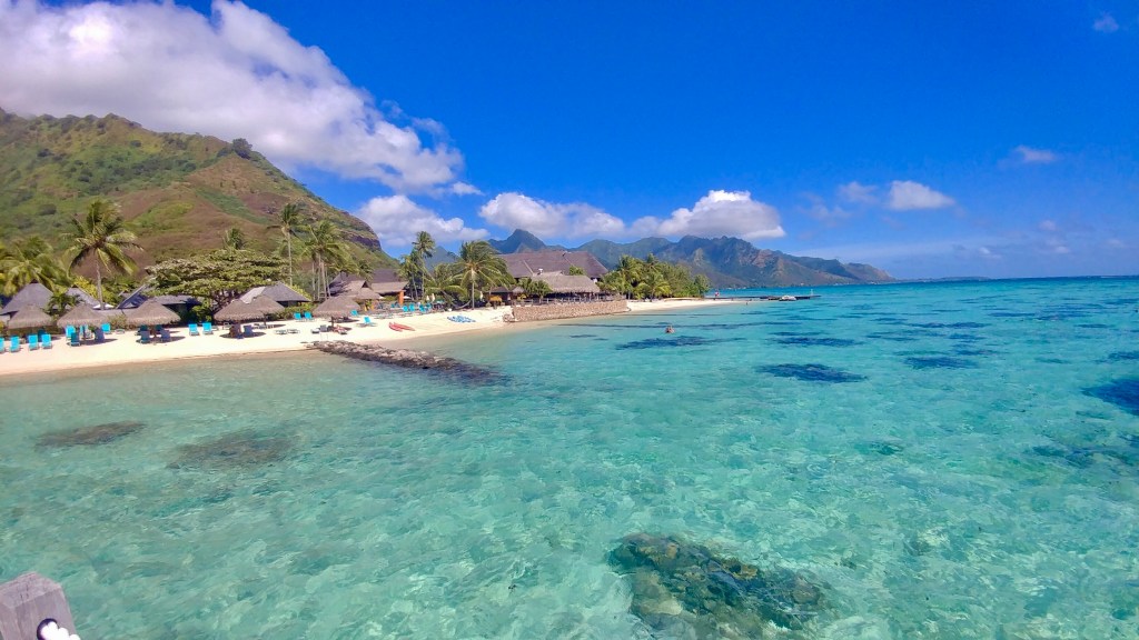 4C419C68-AF8A-431E-B4E5-260E8CC28743