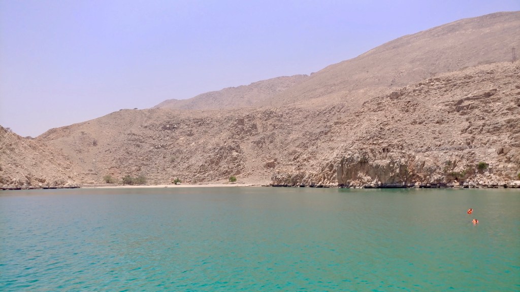 4CC781D1-99E5-4F45-8734-243945B52648