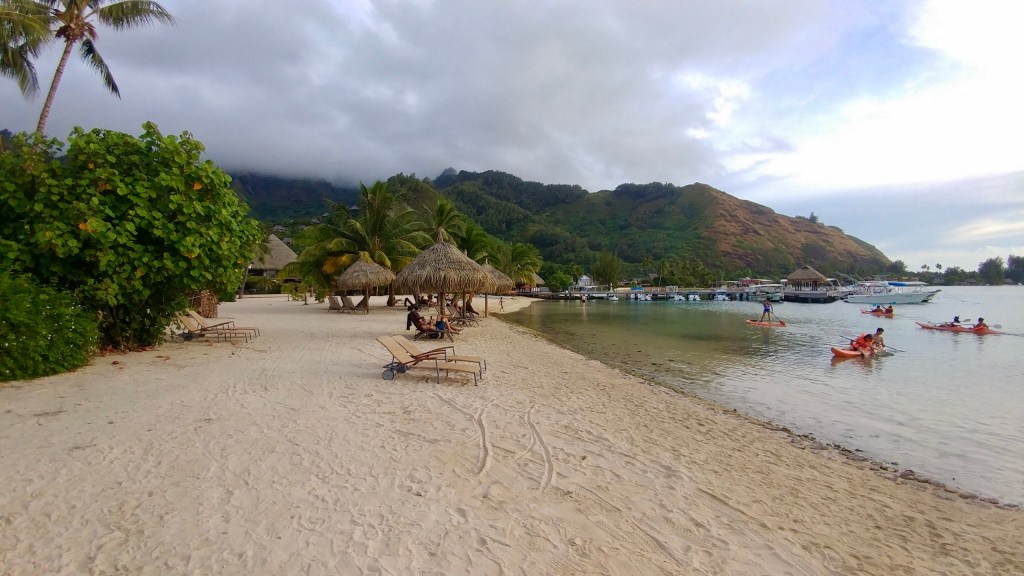 632AB7B5-85BE-47C0-9CB4-A5BD347777D1