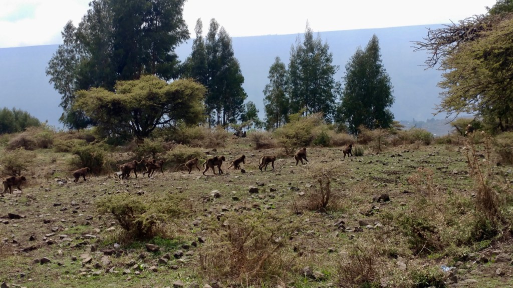 7DBBC465-58EF-4A90-8F98-DD18CE037818