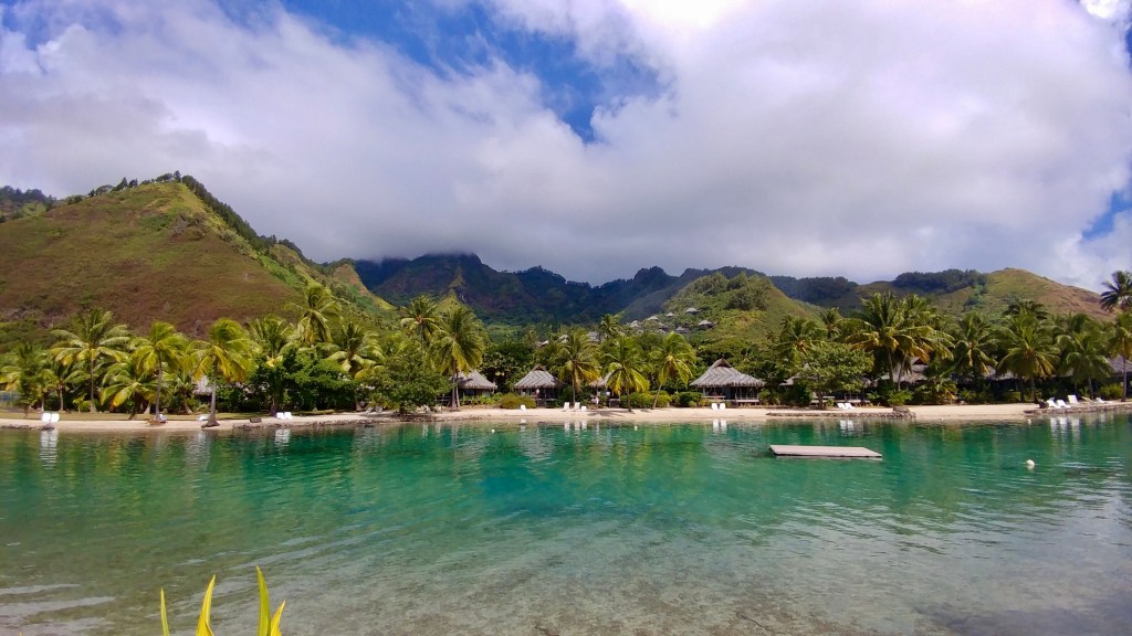 862C4D5B-B959-4C92-9CBB-70E1D5ABA31A