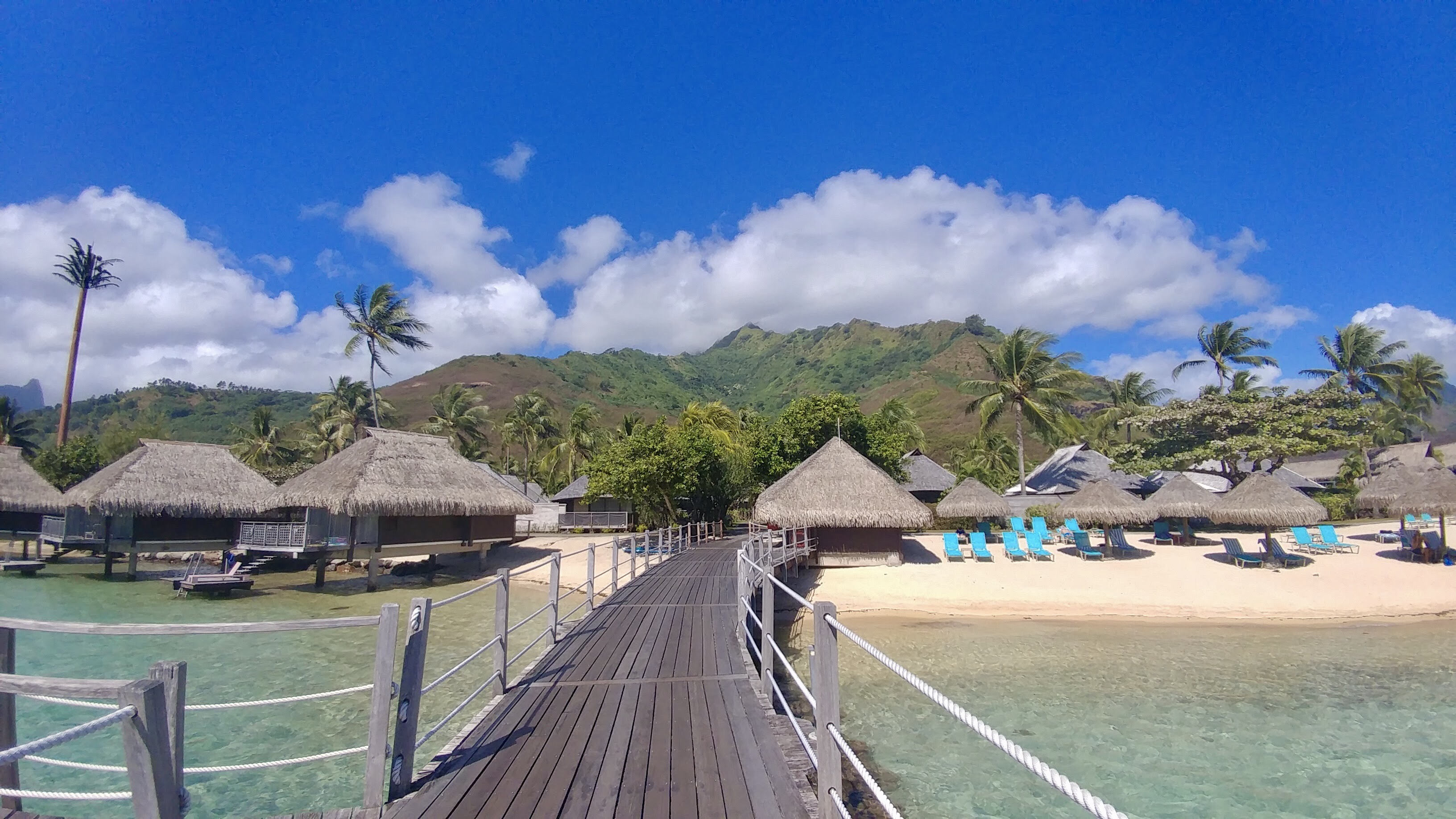 8A97EDFE-9108-4B8E-9402-C17BEEBEDB54