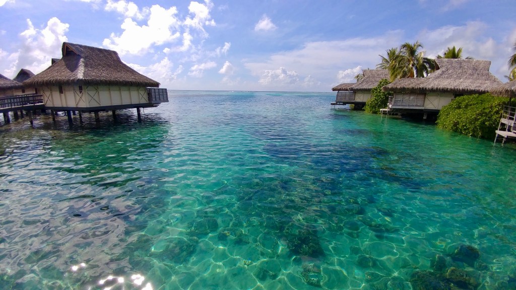 8DA21CDE-558D-4F39-9B7F-01C054B0B897