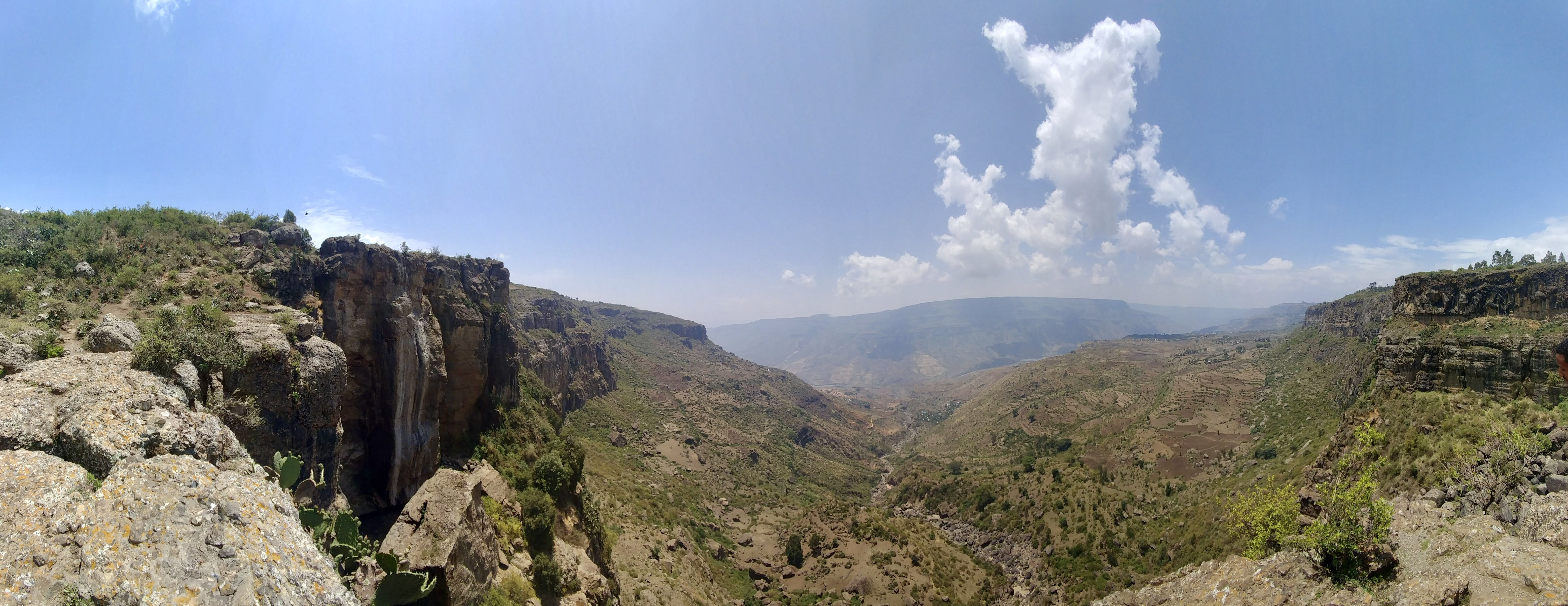 BBF2AA0F-3E57-4922-923F-A6A66638E117