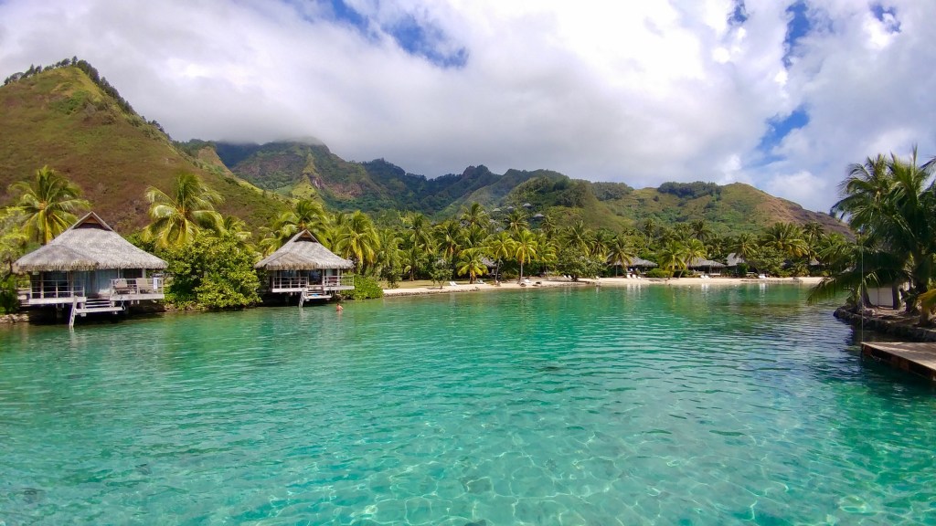 E7C4B7D1-FA9E-4B1D-9B22-152AC776477E