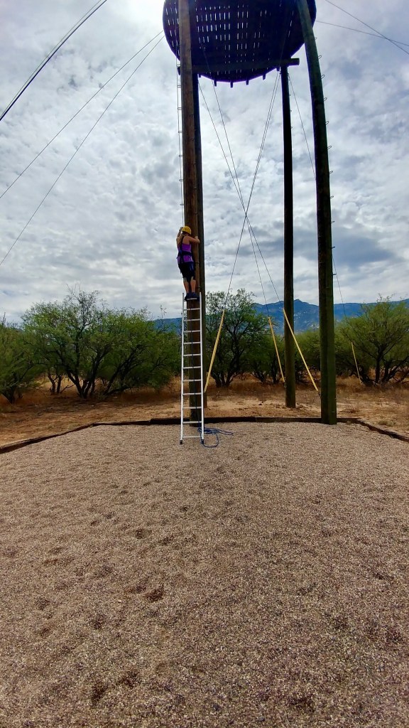 2ef08202-4fa3-4c74-99f5-b13c933dd277