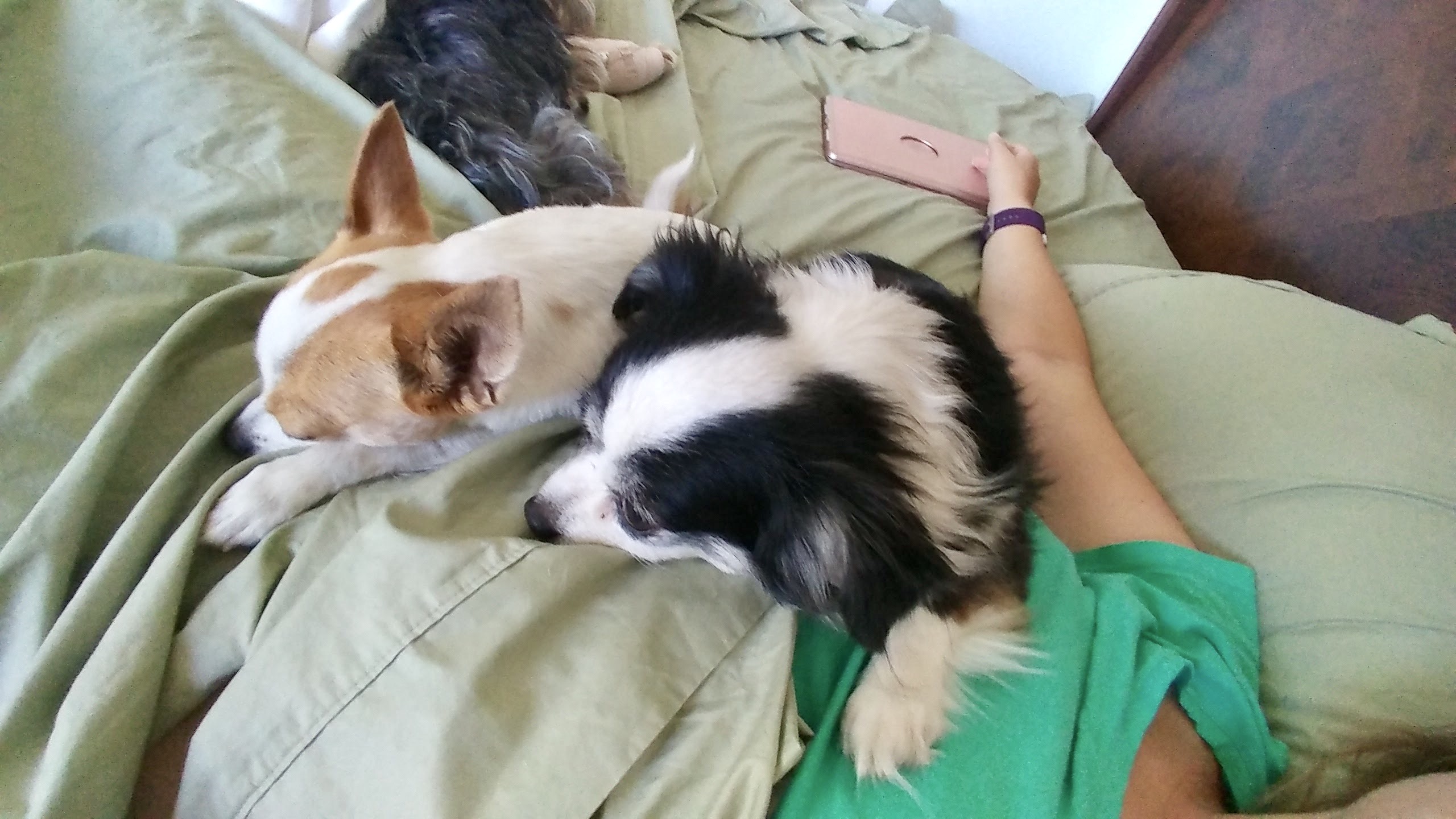 F2B1A31B-EA87-4998-932E-50622FD591D2