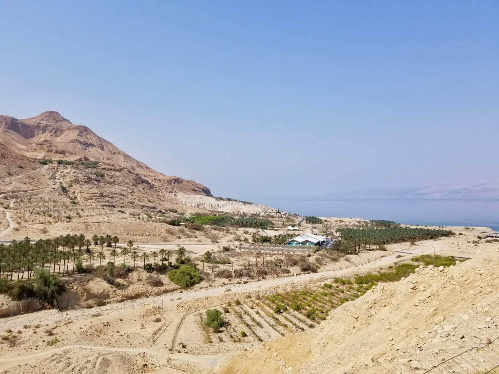 Israel? Ein Gedi