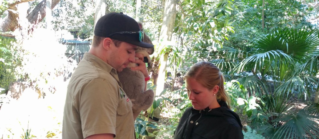 Brisbane- OHMYGOD I HELD A&nbsp;KOALA