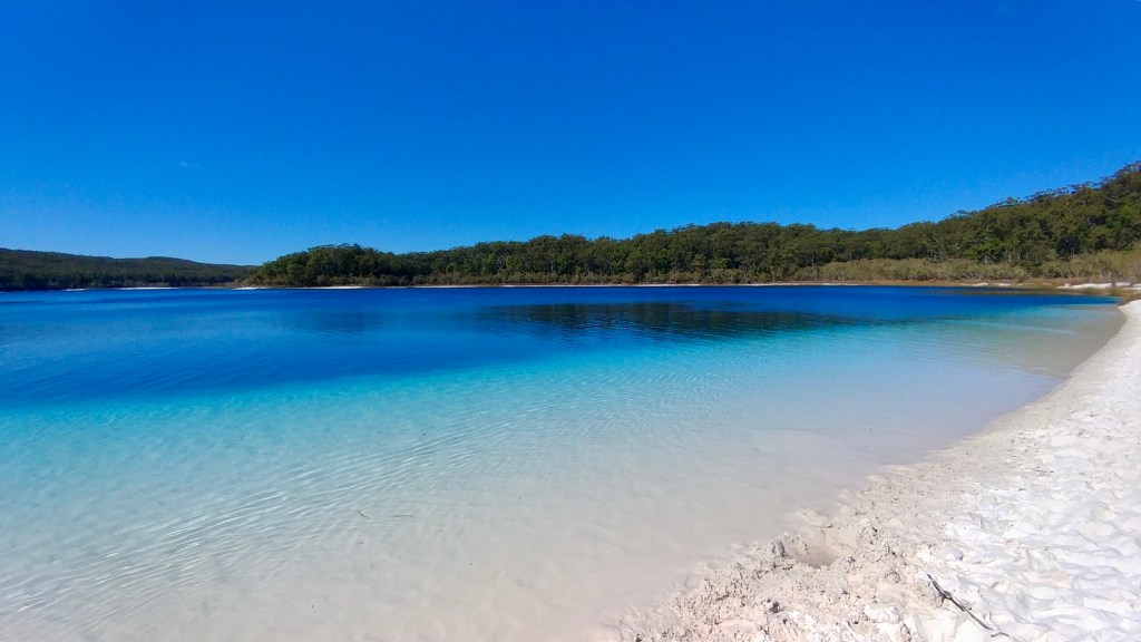 Fraser Island- Squad&nbsp;Goals