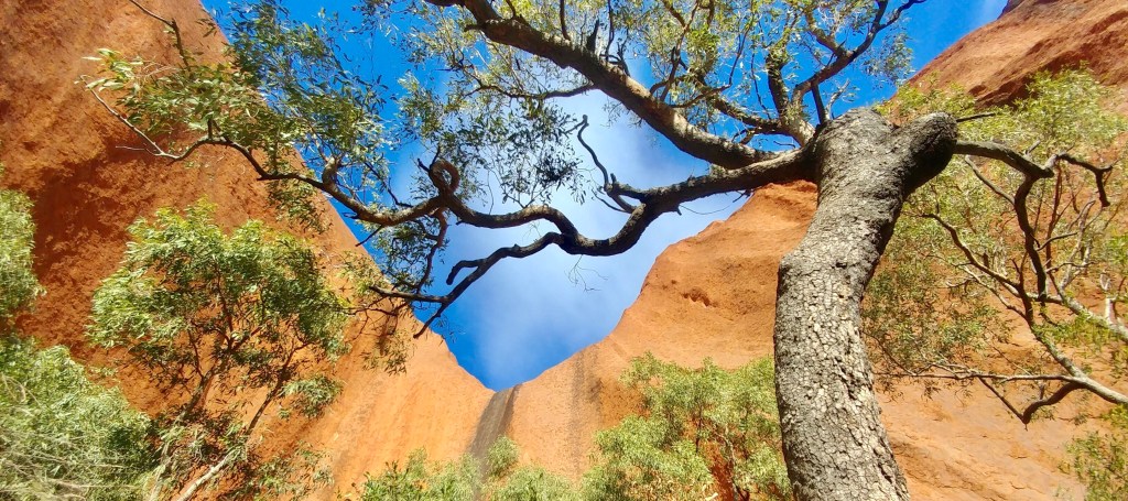 Uluru- The Aboriginal&nbsp;Bible