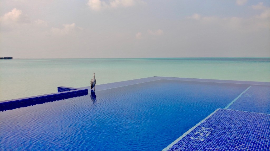 The Magnificent Maldives- Diamond Status Is&nbsp;Important!