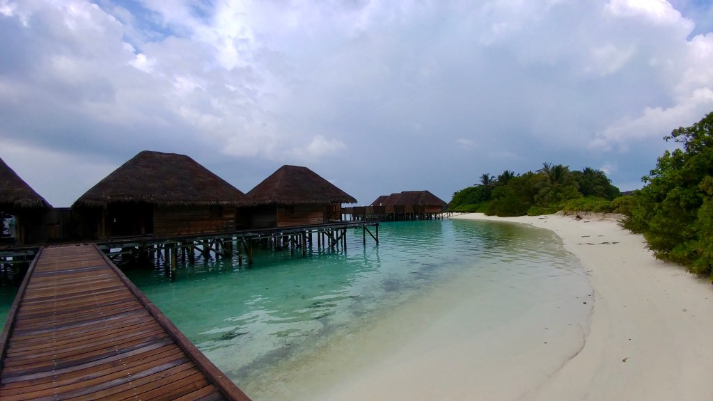 83A39CAB-709F-42B3-8553-3FA2F71641F7