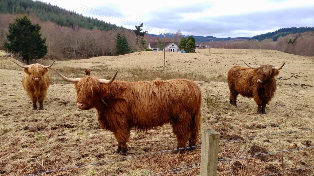 The Scotland Diaries: Part&nbsp;1