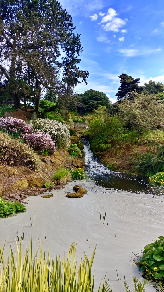 CA152C4E-93B9-4BBF-B7ED-39FA8FF85AE1