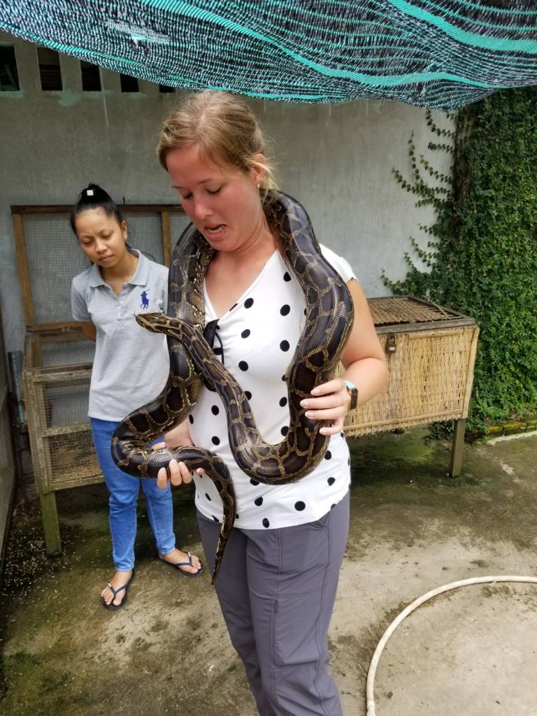 103CDB46-E7A1-43E6-93FC-A9A7C1BC651A