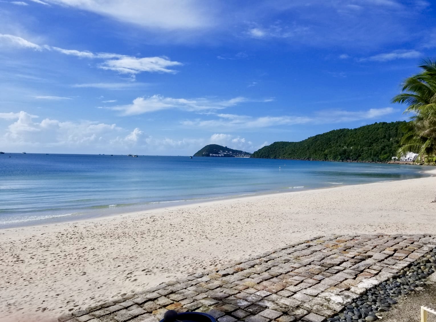 EA1BE8E1-B727-4404-9388-04E427011EDE