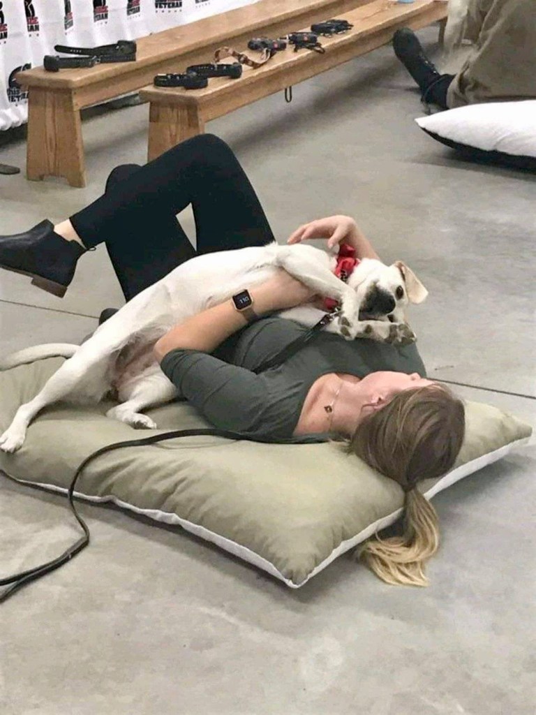 3c0d2df3-6ea3-4388-894b-aaa67c63df2d