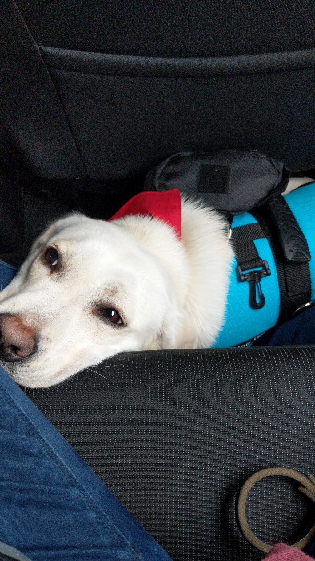 Mileage Running- Mad Genius, or Just&nbsp;Mad?