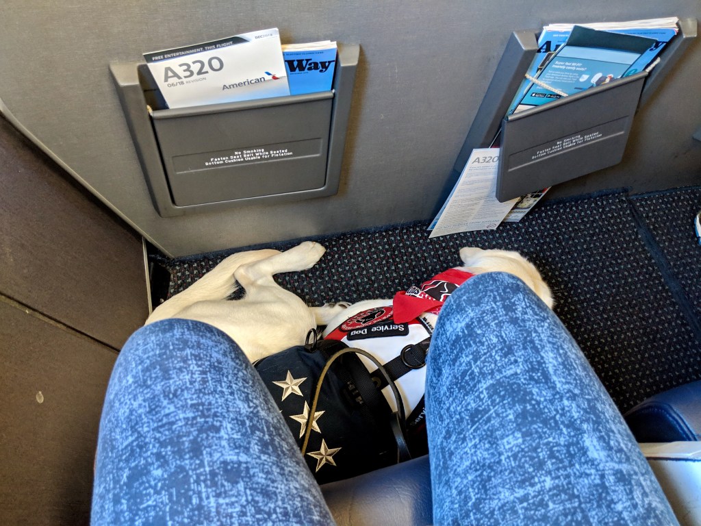 6855799d-d74d-4d74-8837-5e71aff6396b