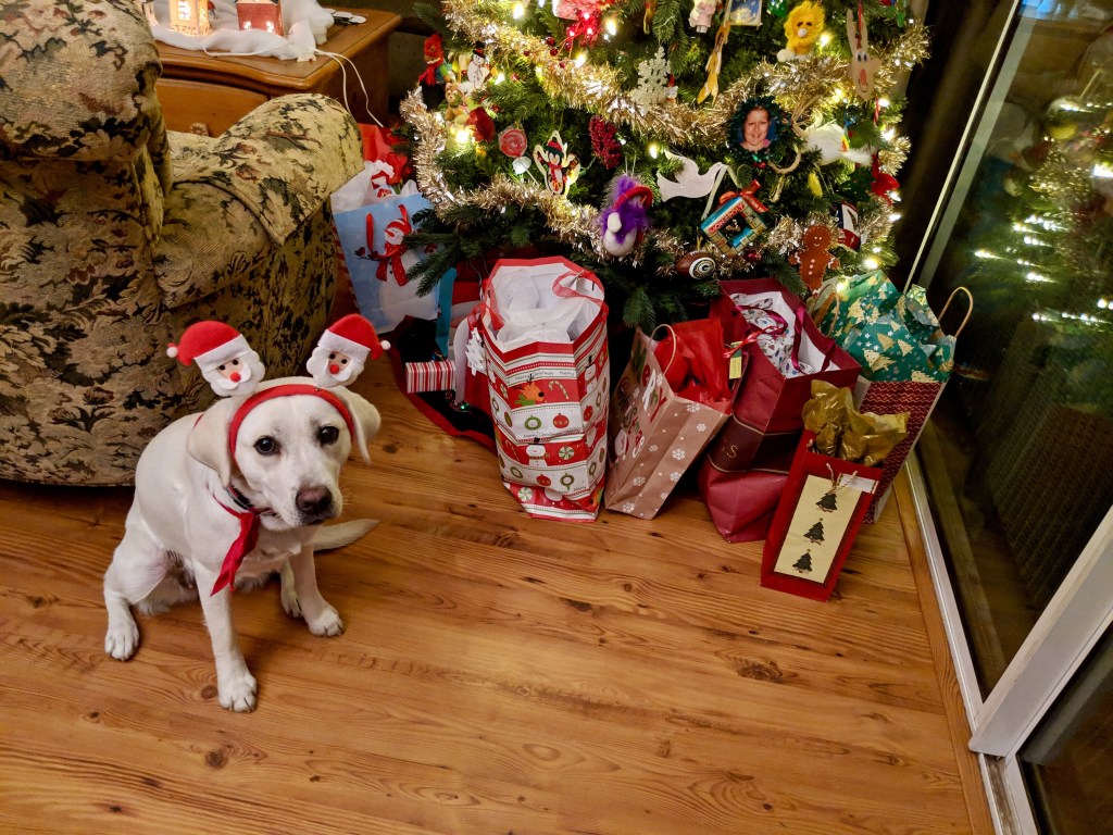 Part of the Family- The Journey of a&nbsp;Lifetime