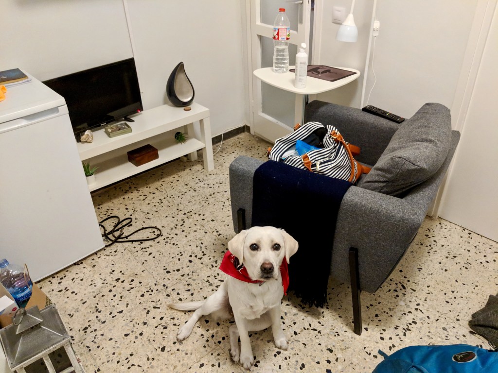 4c104f80-a8bd-4686-af57-c78a622cfc38