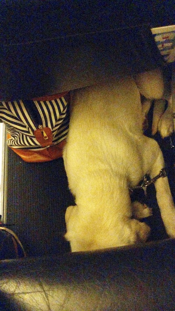 E89287BE-4DE2-4E60-B034-6D6A0C884DEB