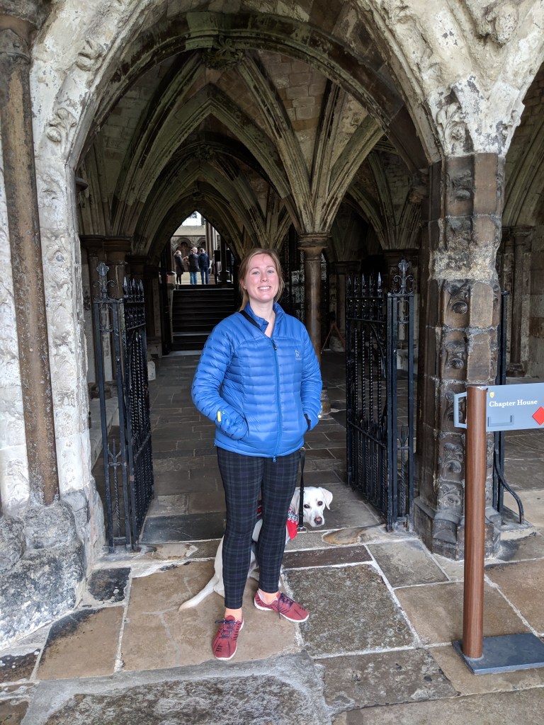 F0C6B261-A88D-4166-BB92-34F459B3237C