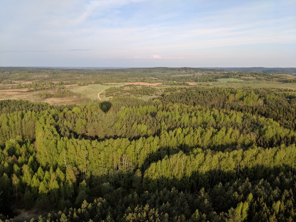 I Now Pronounce You Hot Air&nbsp;Ballooners